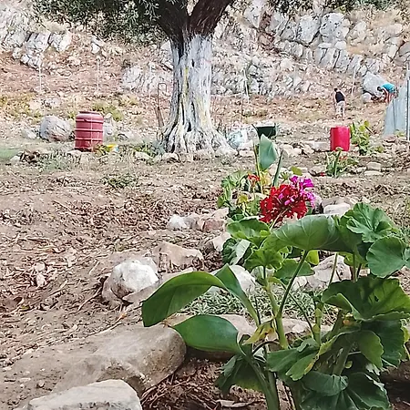 Shpella E Pirateve مكان تخييم